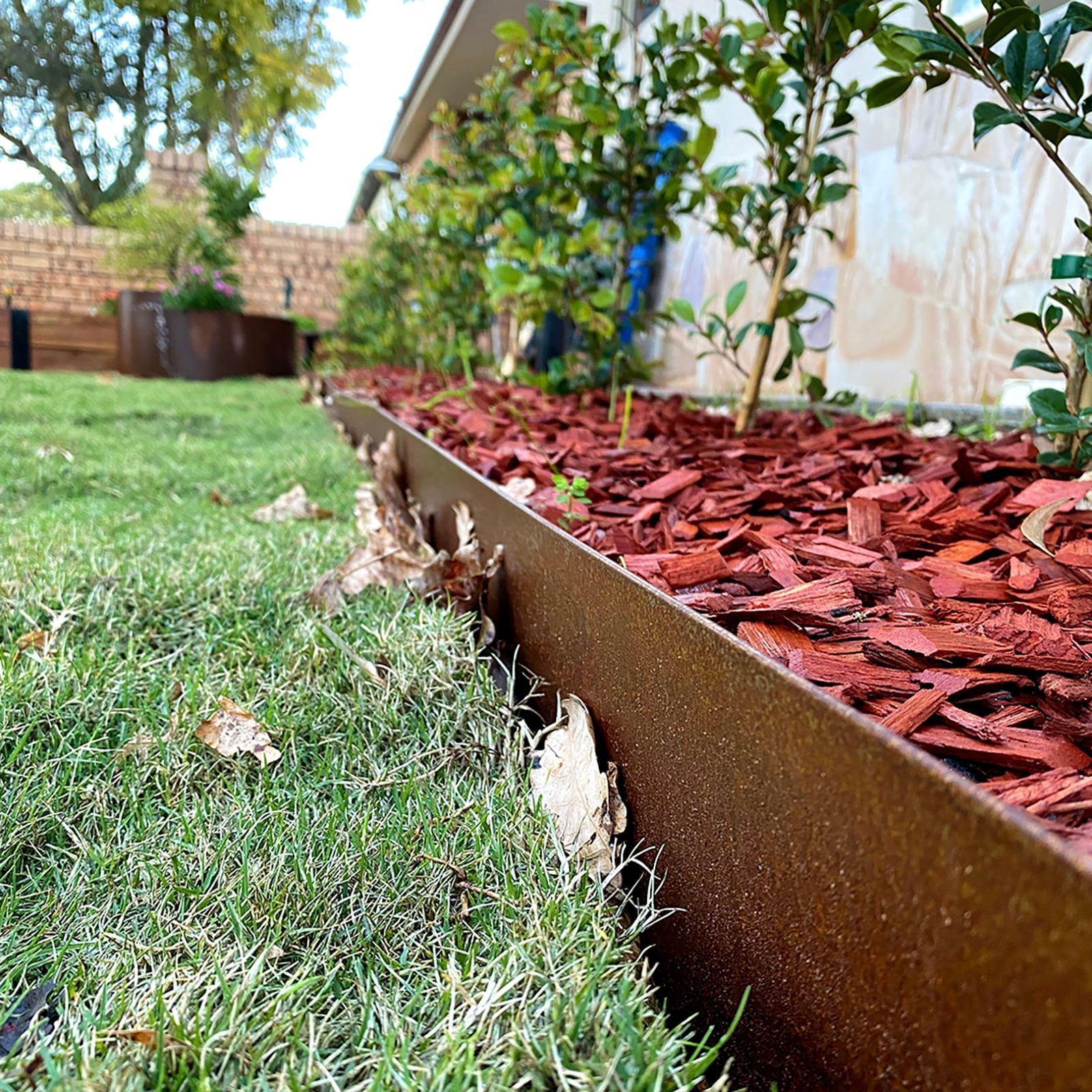 Metal edging defines a garden bed filled with red mulch, adjacent to green grass, with plants in the background.