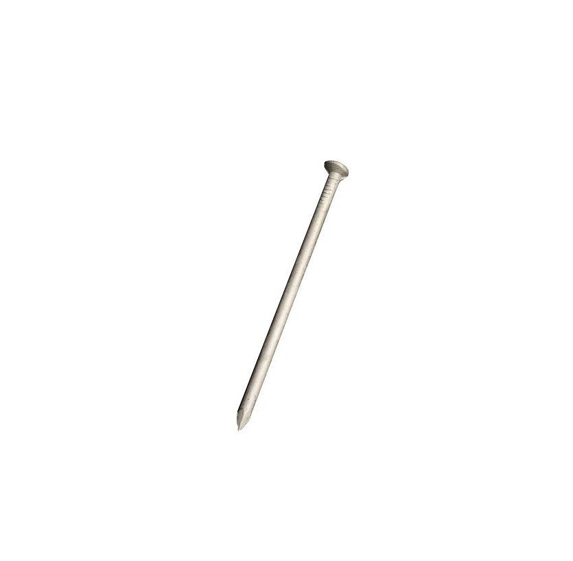 Nail with a rounded head and sharp point, angled towards the bottom left.