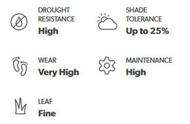 Attributes of a plant, including drought resistance (High), shade tolerance (Up to 25%), wear (Very High), maintenance (High), and leaf (Fine).