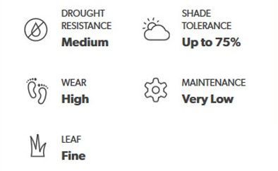 Icons and text describing plant characteristics: drought resistance (medium), shade tolerance (up to 75%), wear (high), maintenance (very low), leaf (fine).