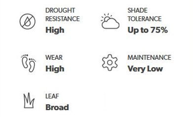Icons and text showing plant traits: high drought resistance, shade tolerance up to 75%, high wear, very low maintenance, broad leaves.