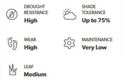 Icons and text indicating high drought resistance, shade tolerance up to 75%, high wear, very low maintenance, and medium leaf.