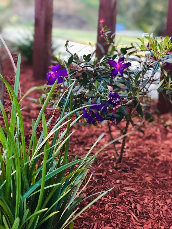 A Pile of Wood Chips is Sitting on the Ground — Caloundra Landscape Supplies in Caloundra, QLD