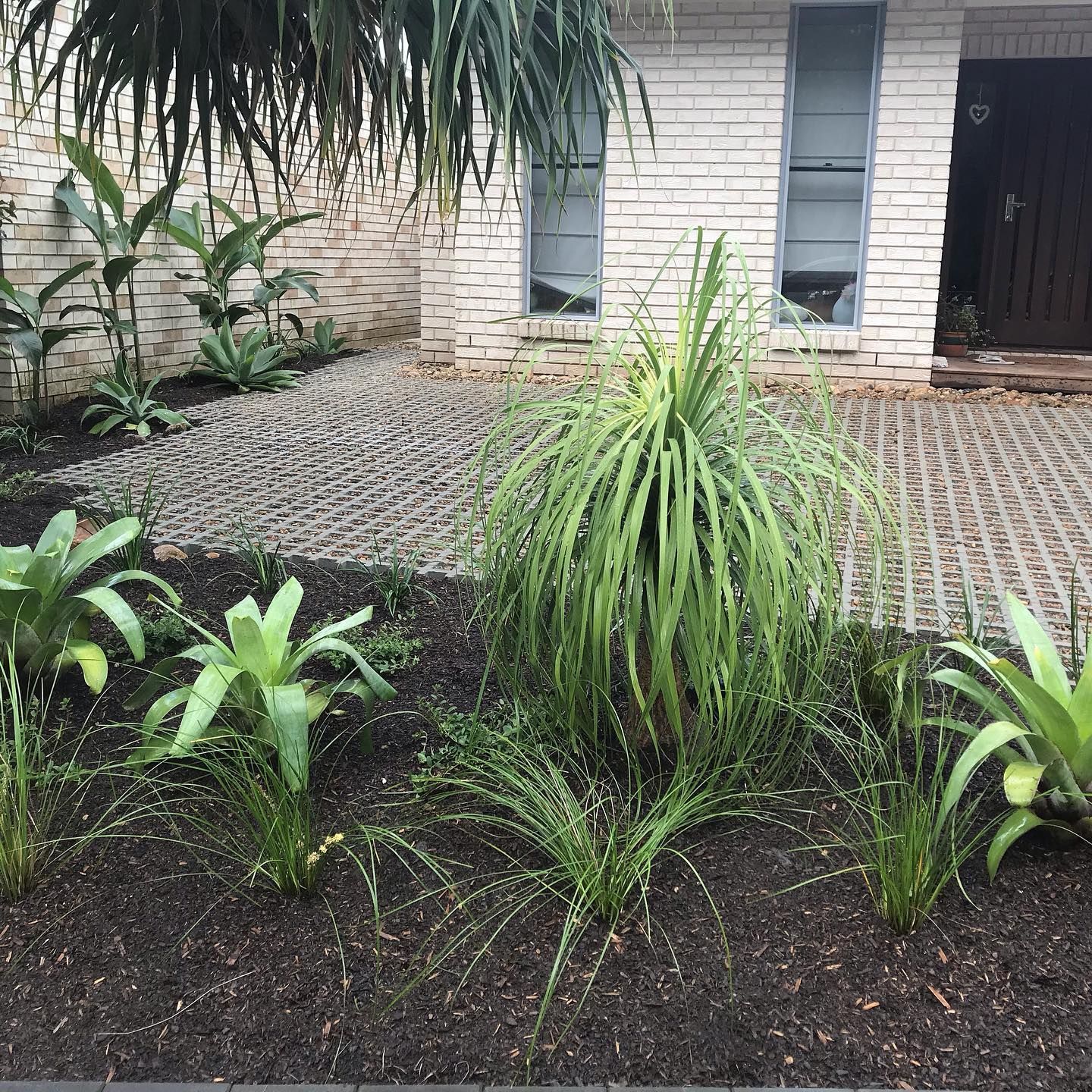 A Bottle of Searles Conguard Garden and Lawn Insecticide — Caloundra Landscape Supplies in Warana, QLD