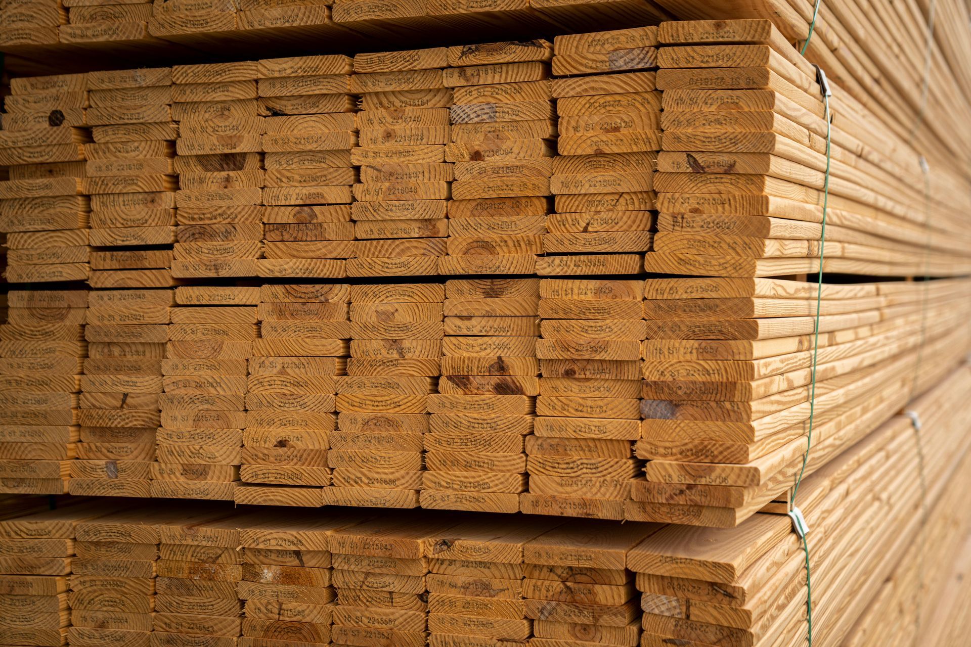 A Close Up of a Piece of Wood on a White Background — Caloundra Landscape Supplies in Caloundra, QLD