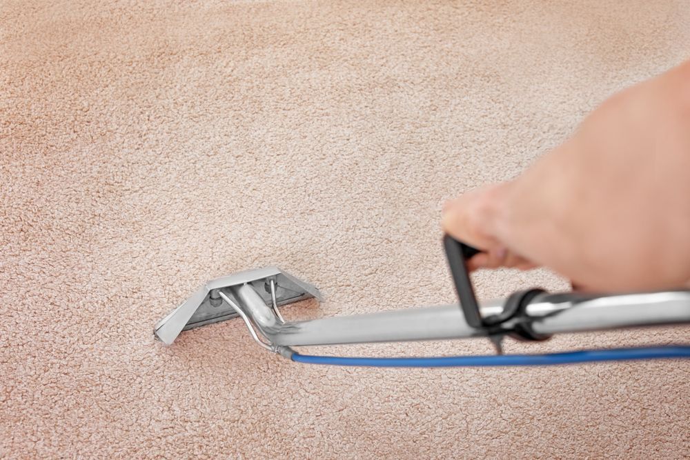 Hand Using Carpet Cleaner on Beige Carpet — NQW Services In Charters Towers, QLD