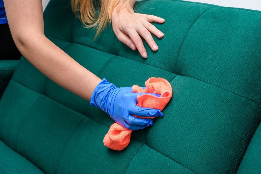 Person Wearing Blue Gloves Cleaning a Green Couch With an Orange Cloth — NQW Services In Mission Beach