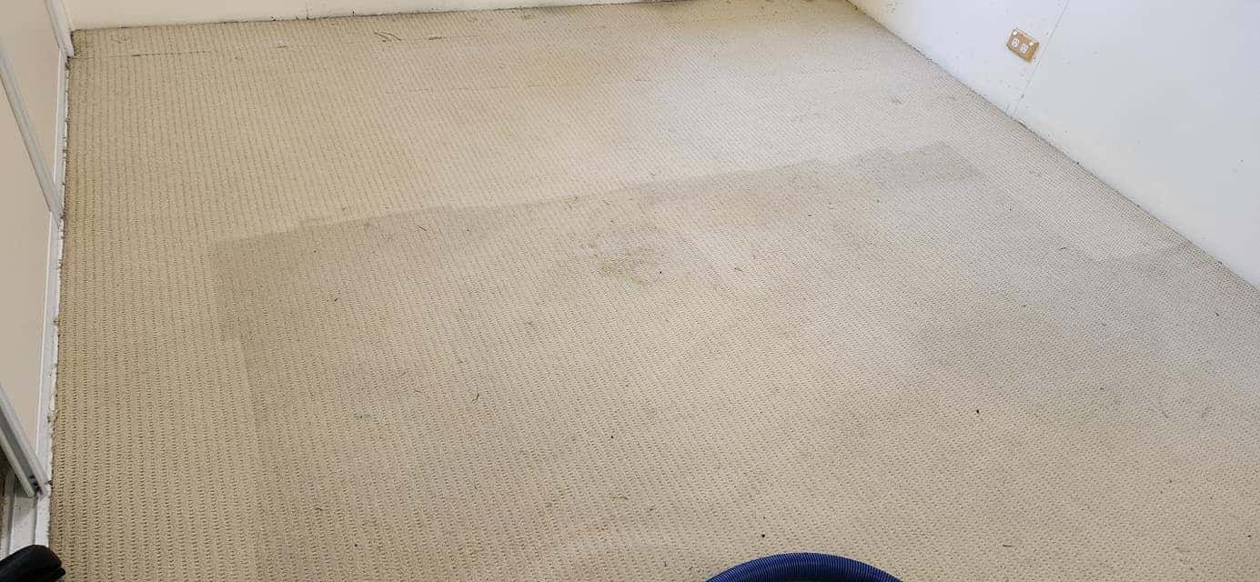 A Person is Standing on a Carpeted Floor in a Room — NQW Services In Cardwell, QLD