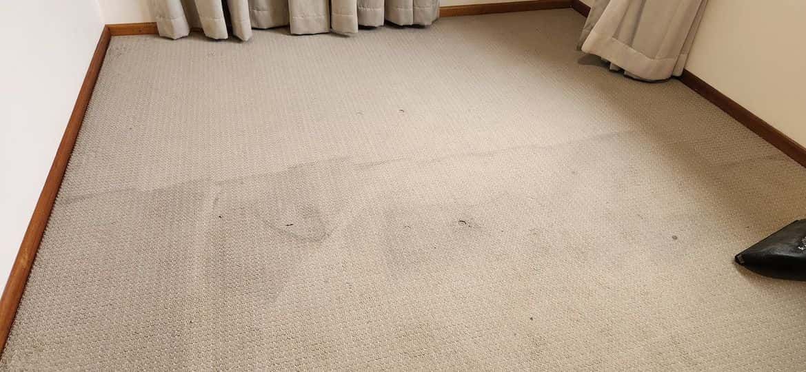 A Room With a Carpeted Floor and Curtains on the Wall — NQW Services In Cardwell, QLD