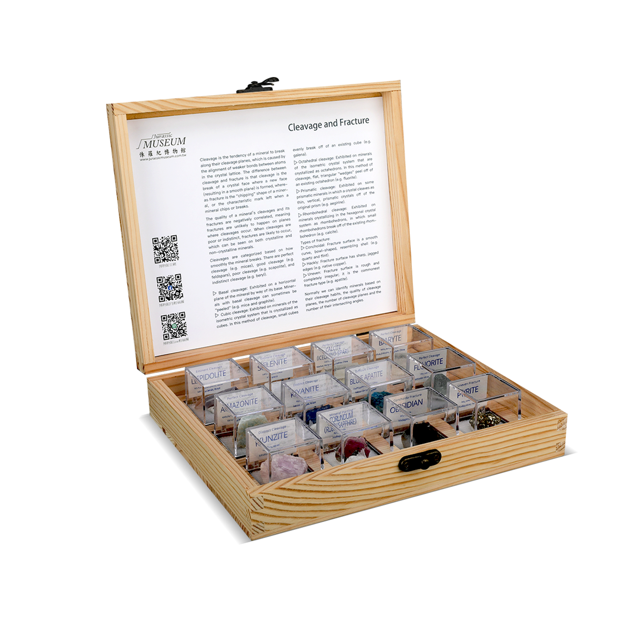 一個敞開式的木製展示盒，內含 15 個透明的、貼有標籤的隔間，裡面裝滿了各種色彩鮮豔的寶石原石標本。