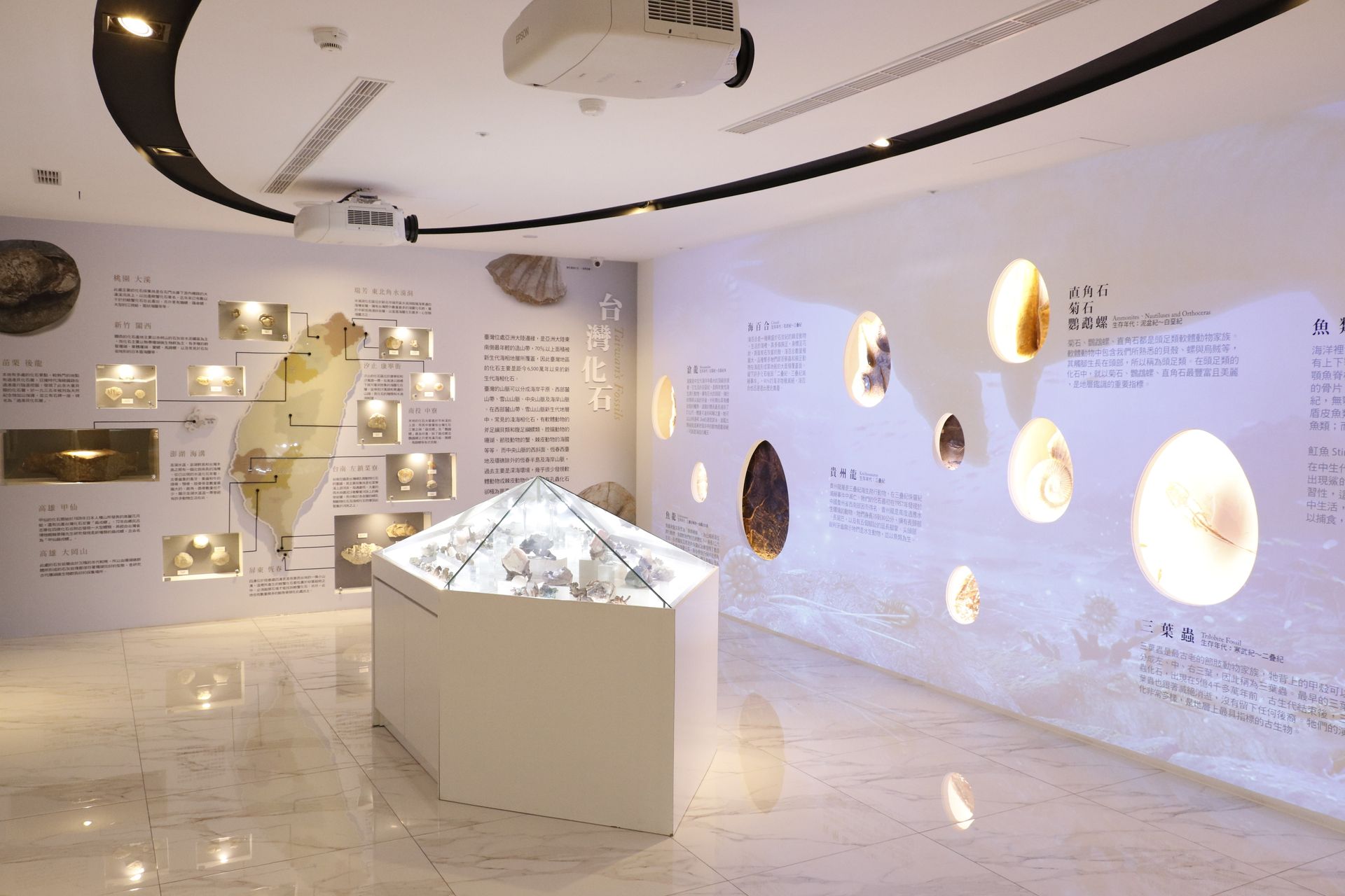 光線充足的博物館展廳中央陳列著一個六角形展櫃，牆上的展品則以背光圓形框架和文字為特色。