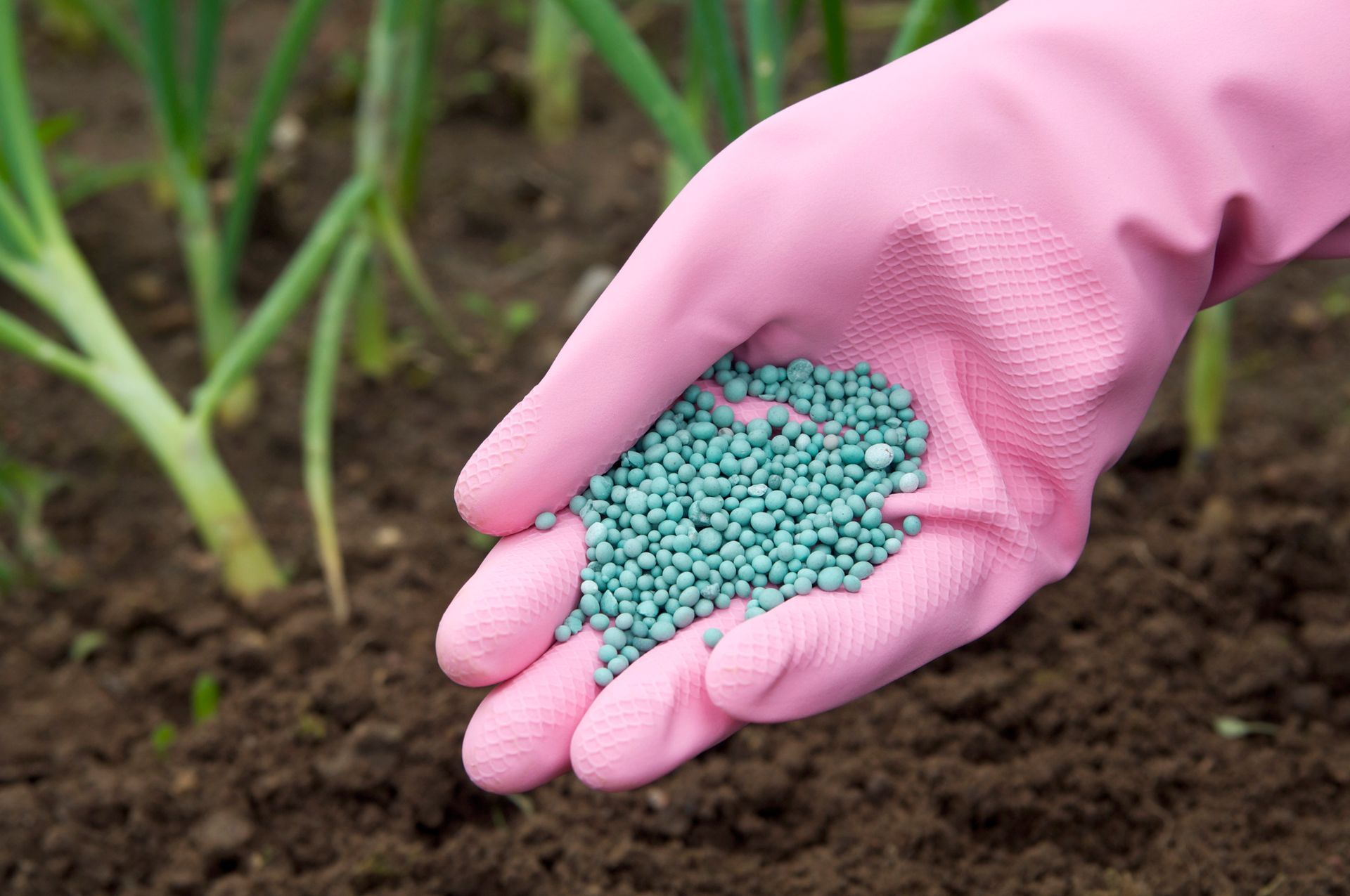 Fertilizer to pour in hands |inorganic agricultural fertilizers | Cedar County MO