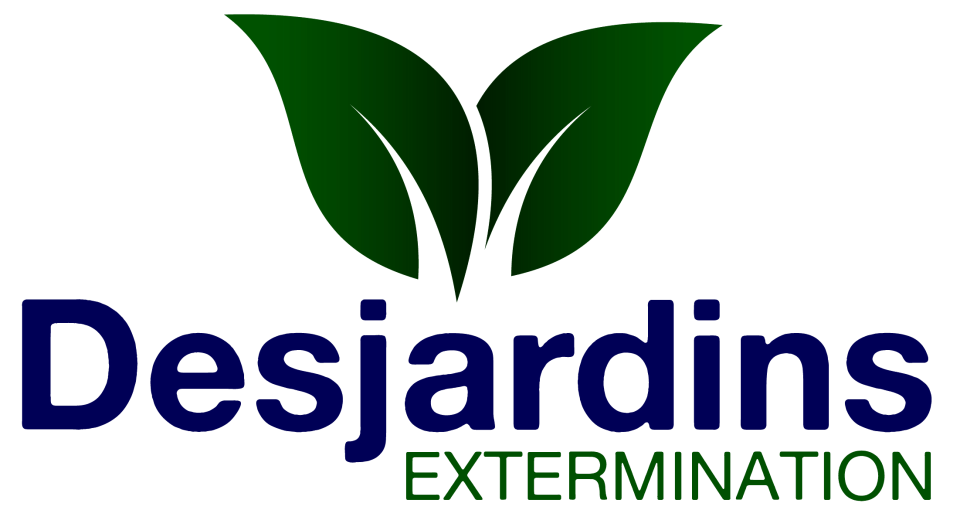 Traitement Fourmis Qu bec Et Environs Desjardins Extermination