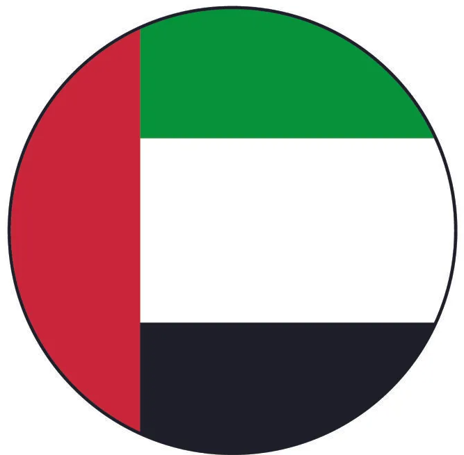 icona-Bandiera Emirati Arabi