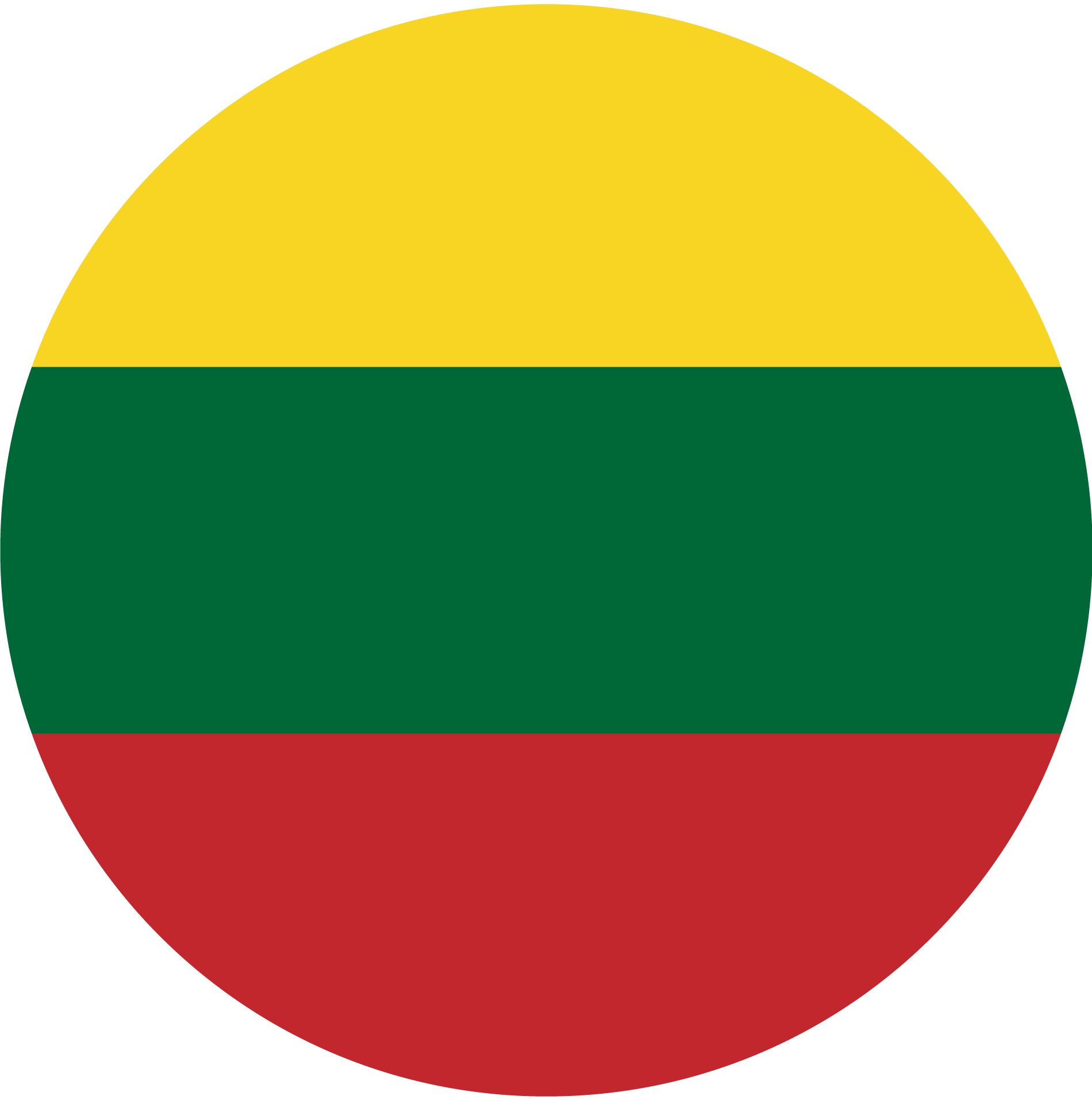 icona-Bandiera Vietnam