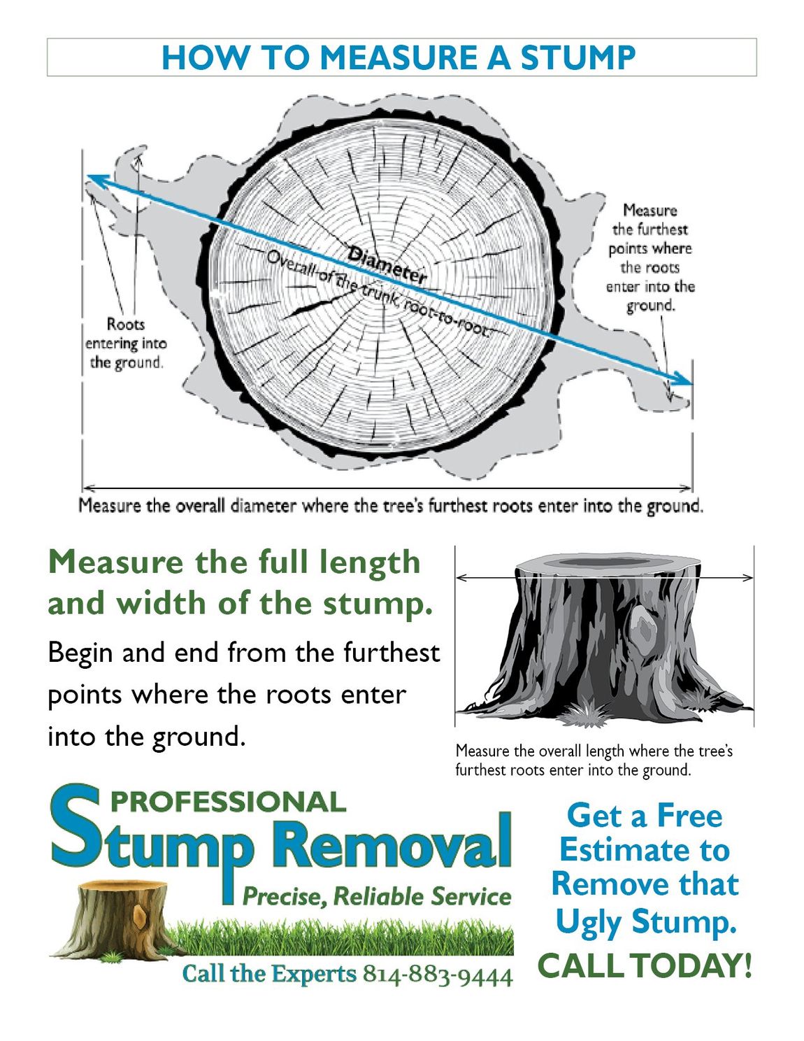 Home State College Professional Stump Removal