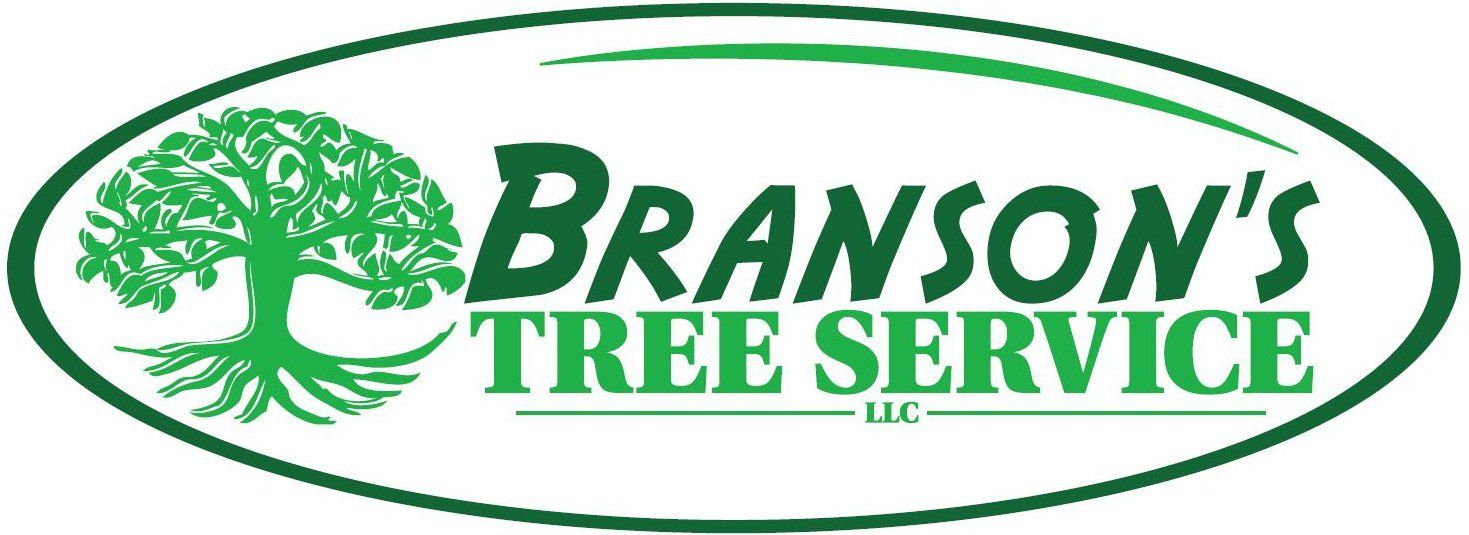 Branson's Tree Service logo