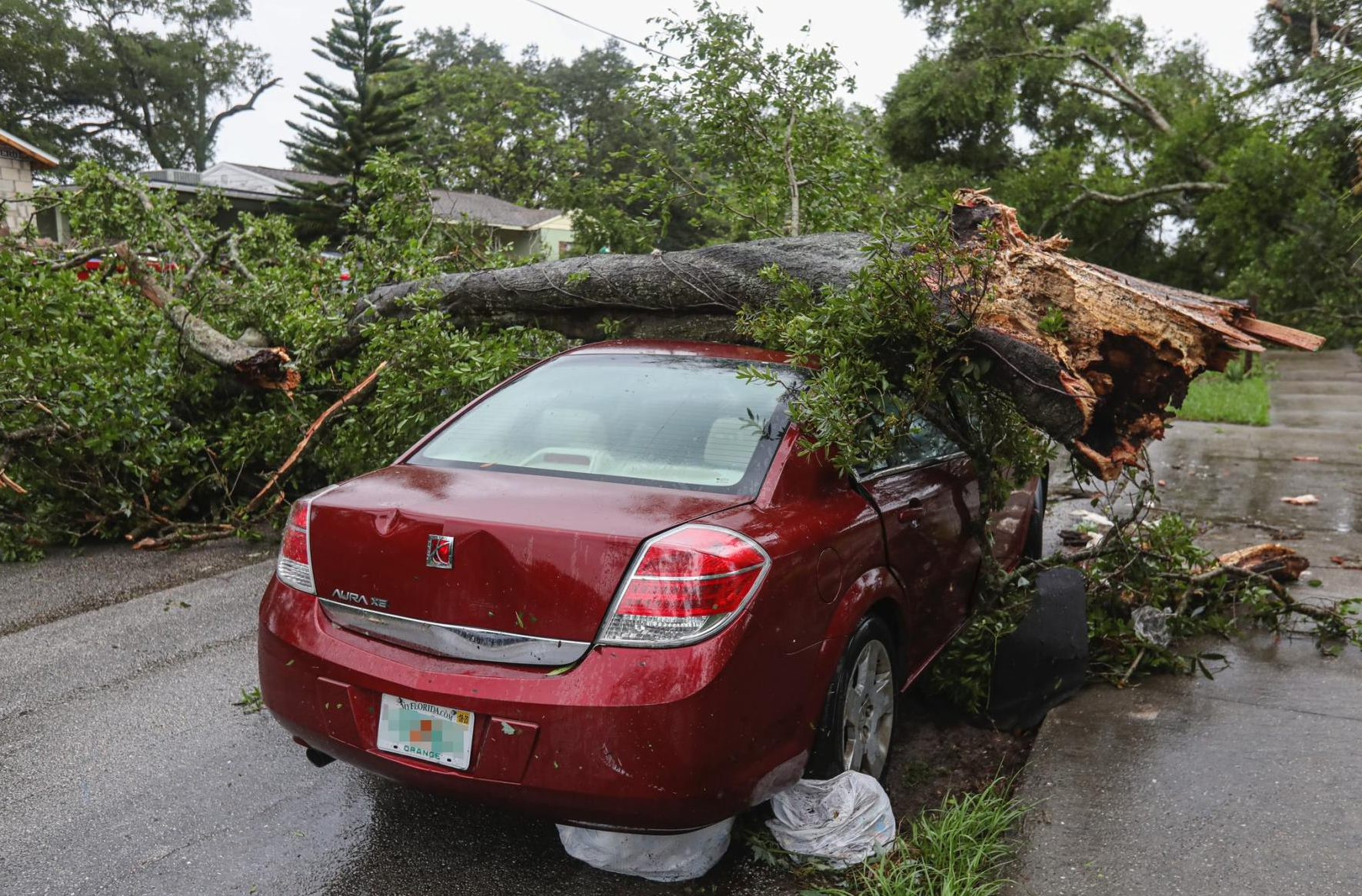 Fredericksburg storm damage emergency tree service