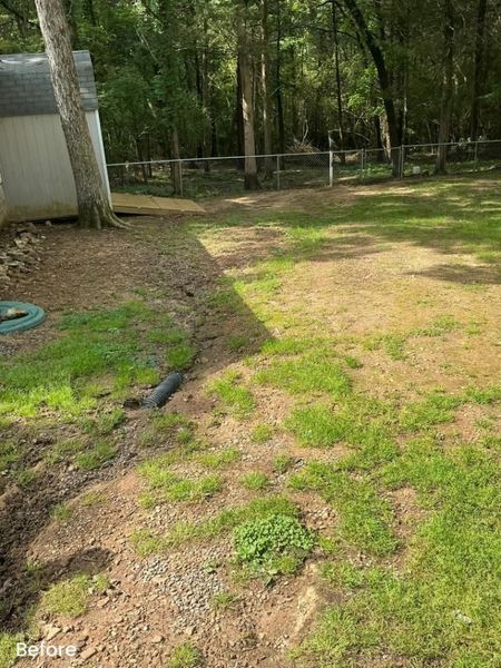 A backyard with a shed, a drainage pipe, and sparse grass leading to a wooded area.