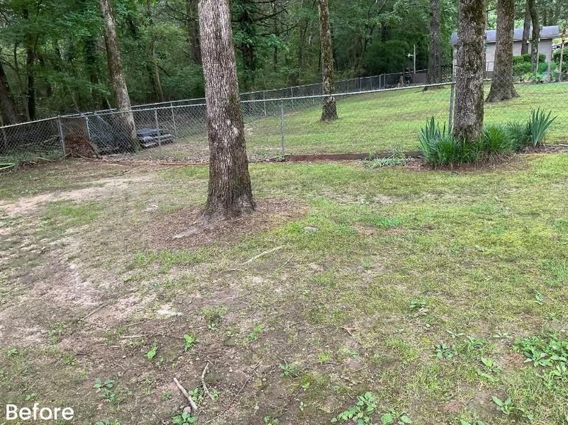Grassy backyard with chain-link fence, trees, and partial view of a house.