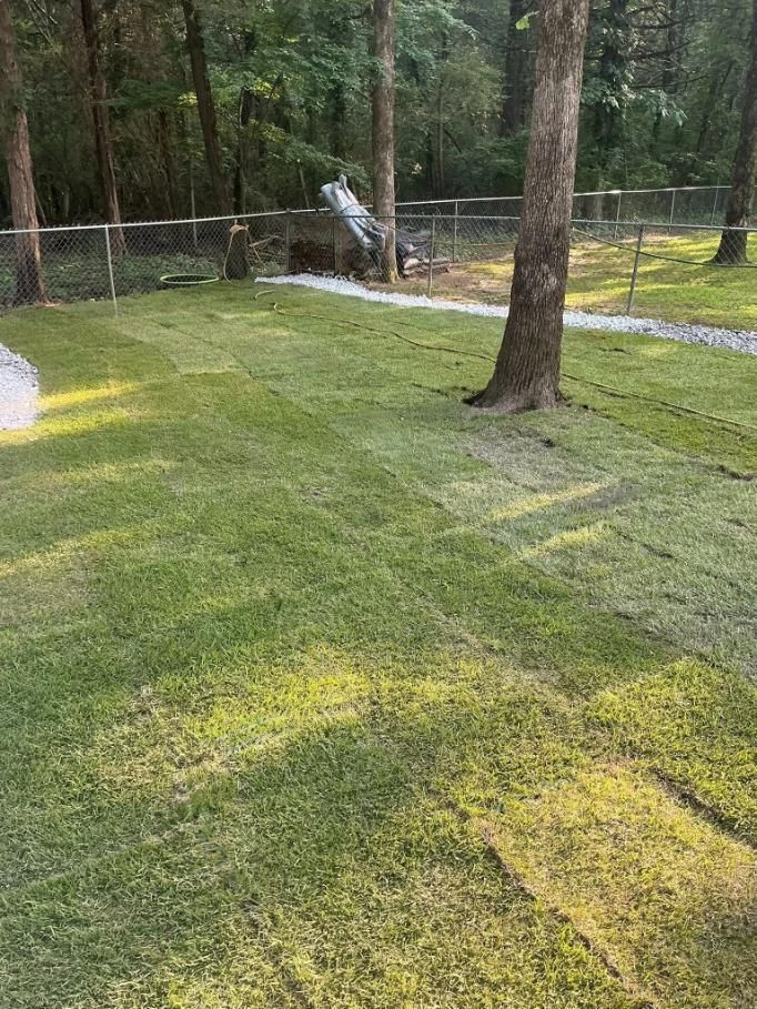 Lush green lawn with trees, a fence, and a gravel path in a sunny backyard setting.