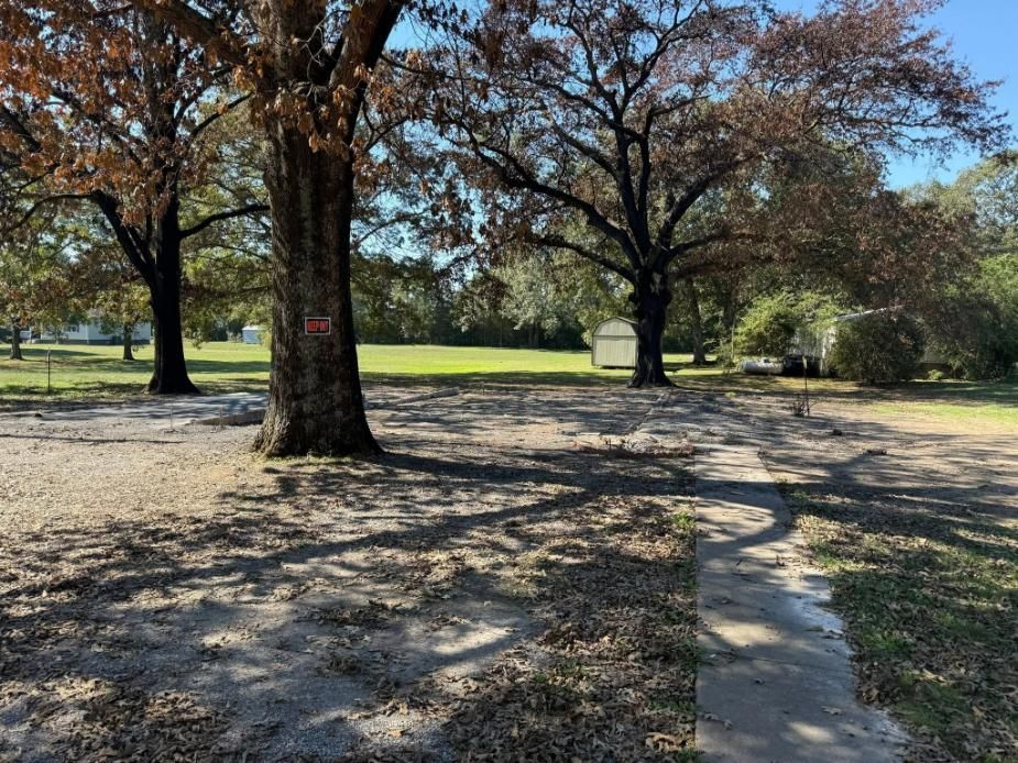 A gravel yard with large trees casting long shadows, a grassy area in the background, and a white shed.