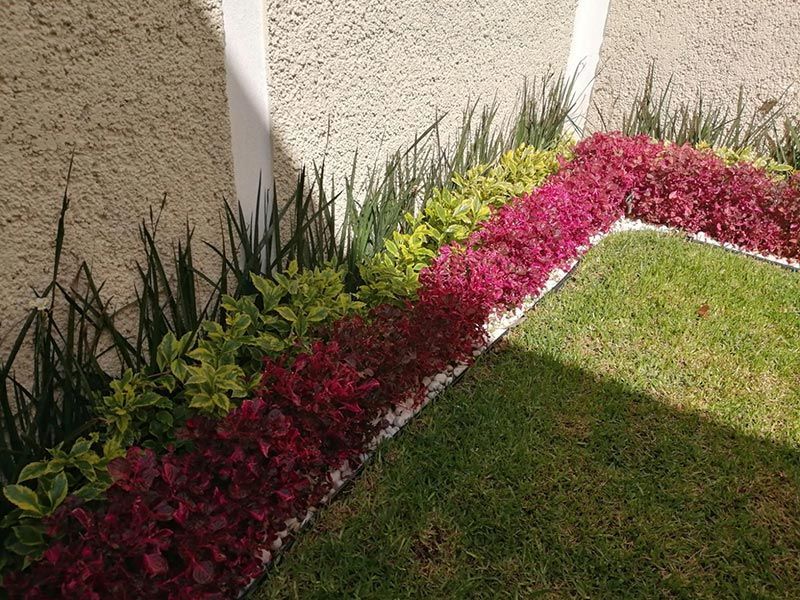 Montes de Oca y jardinería