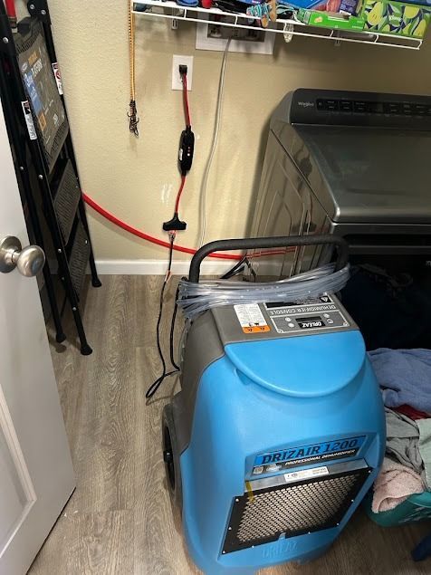 Blue dehumidifier in a laundry room, plugged into an outlet. Clothes dryer and ladder are also present.