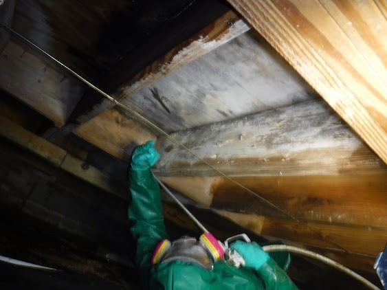 Person in protective suit spraying a moldy ceiling in a dark attic.