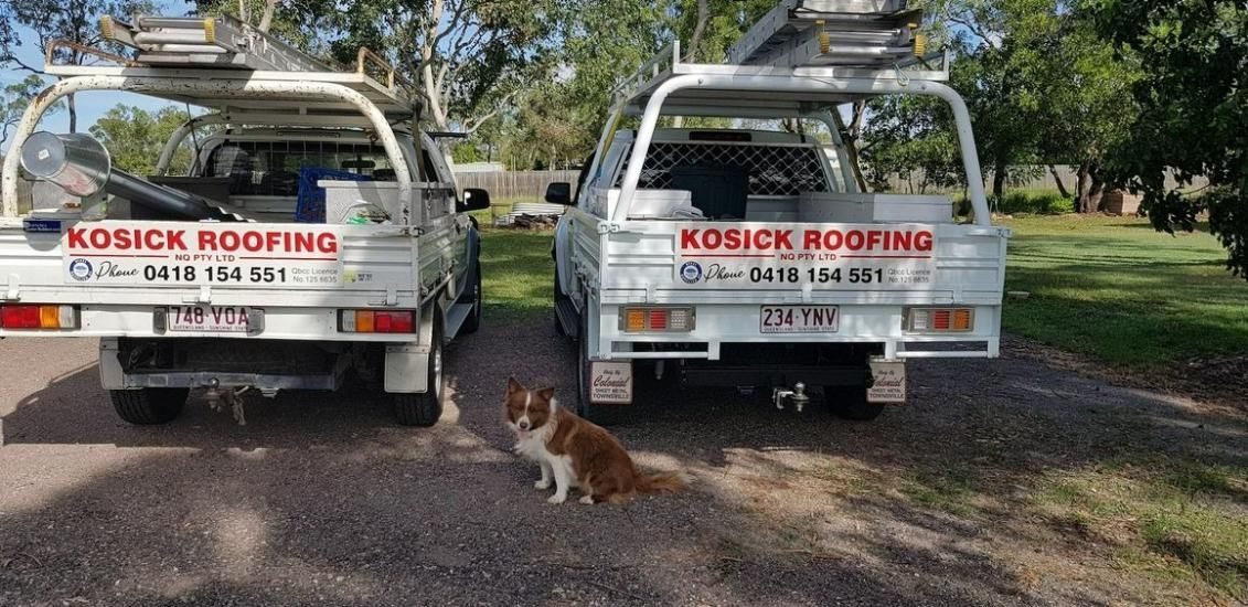 A Dog Is Standing In Front Of Two Roofing Trucks — Kosick Roofing NQ Pty Ltd In Mount Low, QLD