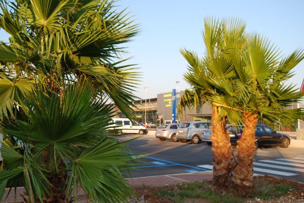 parcheggio aeroporto