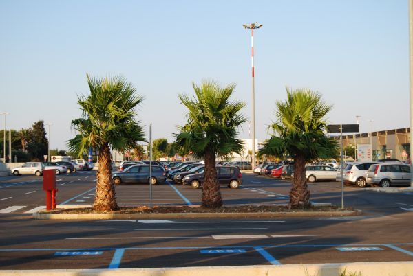 palme aeroporto