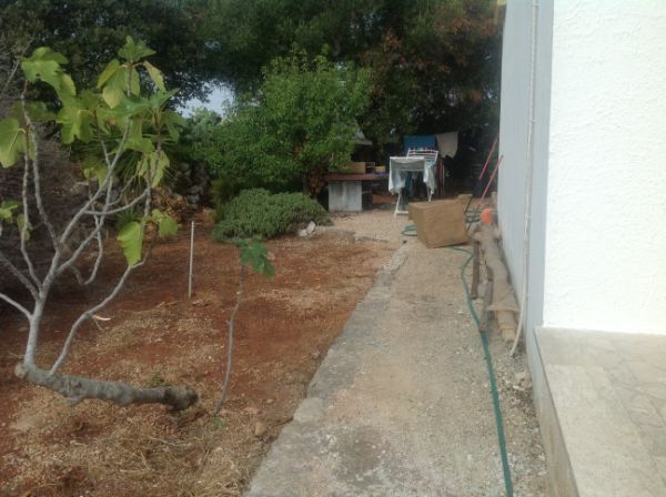 Realizzazione giardino
