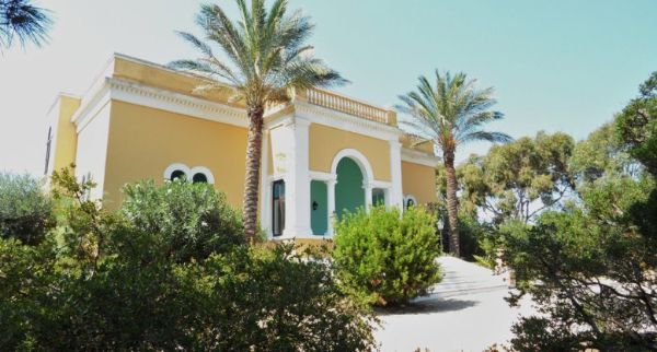 Ingresso villa con palme