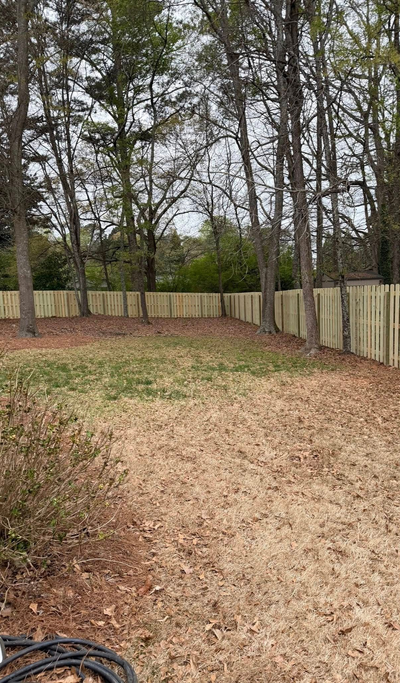 A backyard with brown grass, scattered fallen leaves, a wooden fence in the back, and surrounding tall trees.