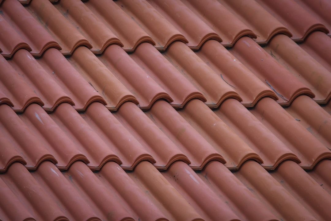 shingle roof - shingle roof