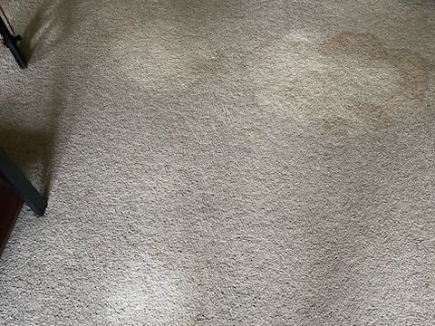 deep stain carpet cleaning Long Island 