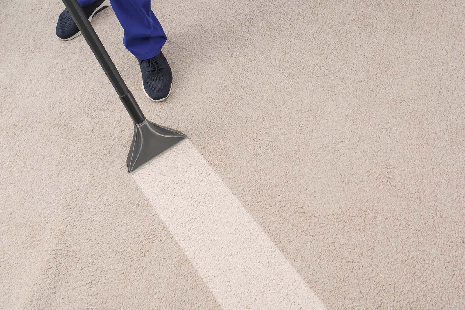 Why Spring is the Best Time to Deep Clean Your Carpets & Upholstery on Long Island 
