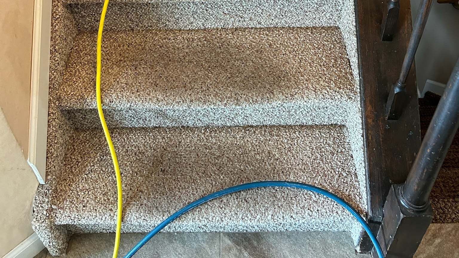 Technician deep cleaning carpeted stairs in a Long Island home using professional equipment