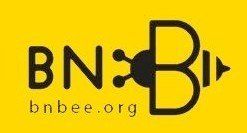 bnbee.org