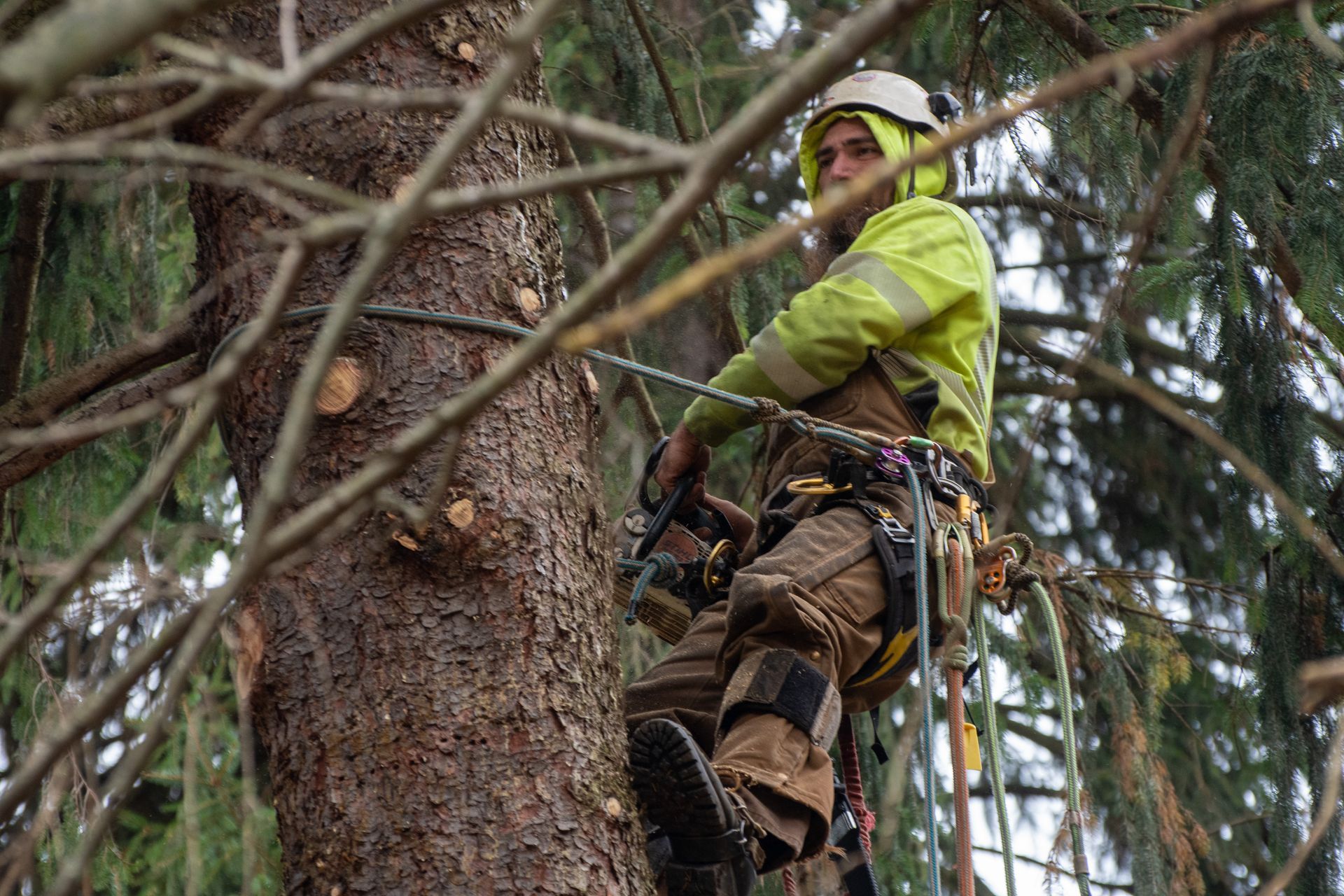 a man is climbing a tree with a chainsaw .