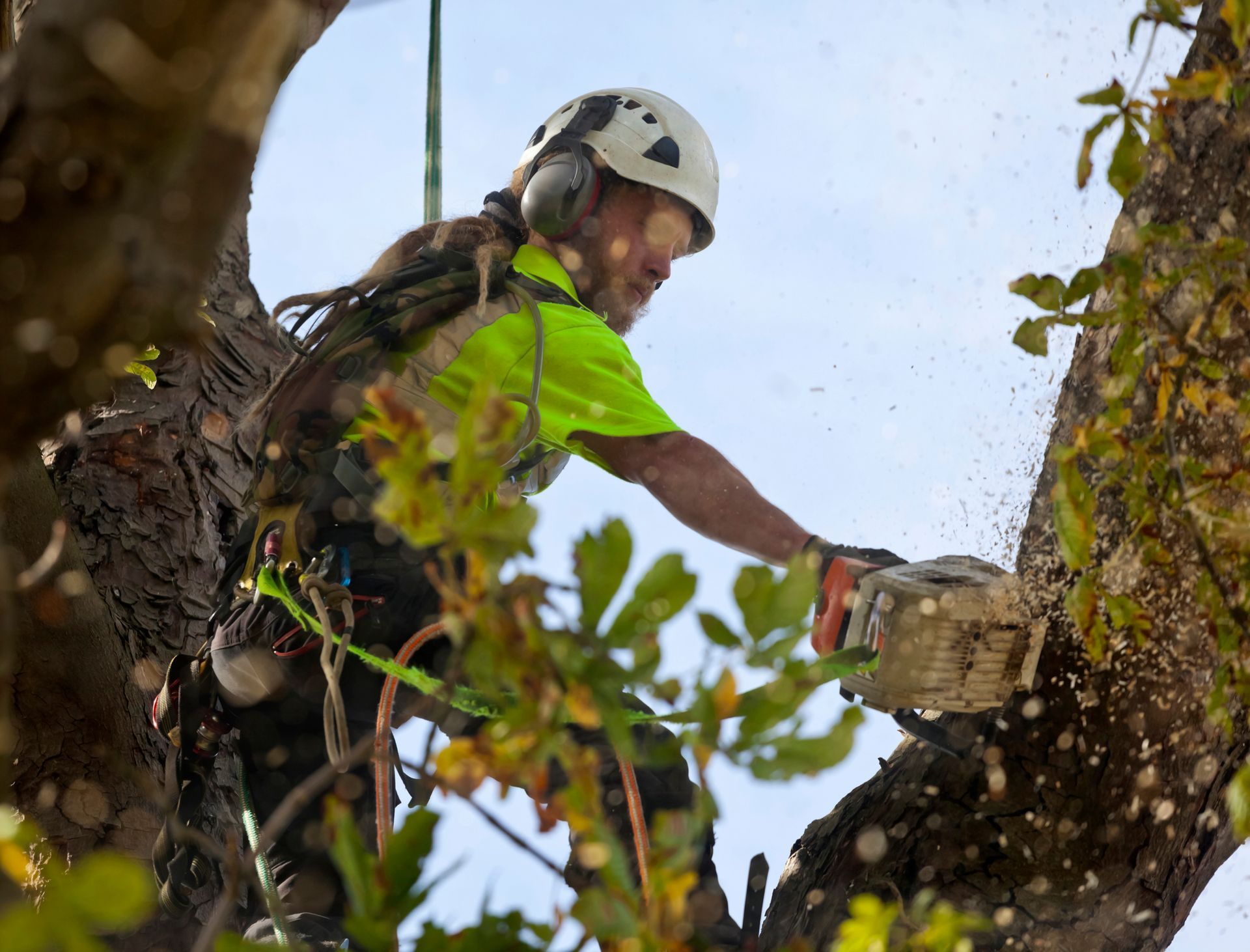 a man is cutting a tree with a chainsaw .