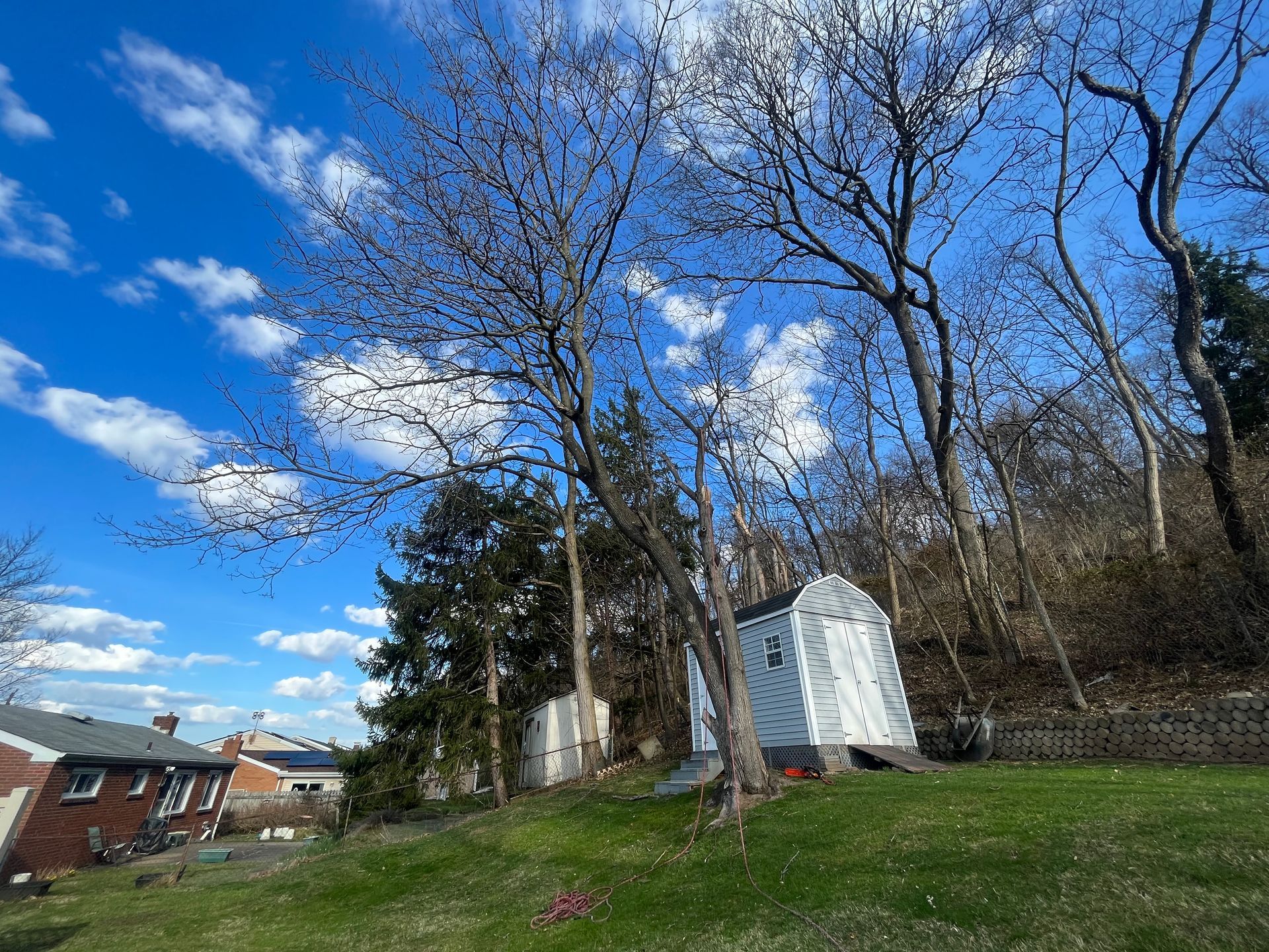 a white truck is parked in front of a house surrounded by leaves .