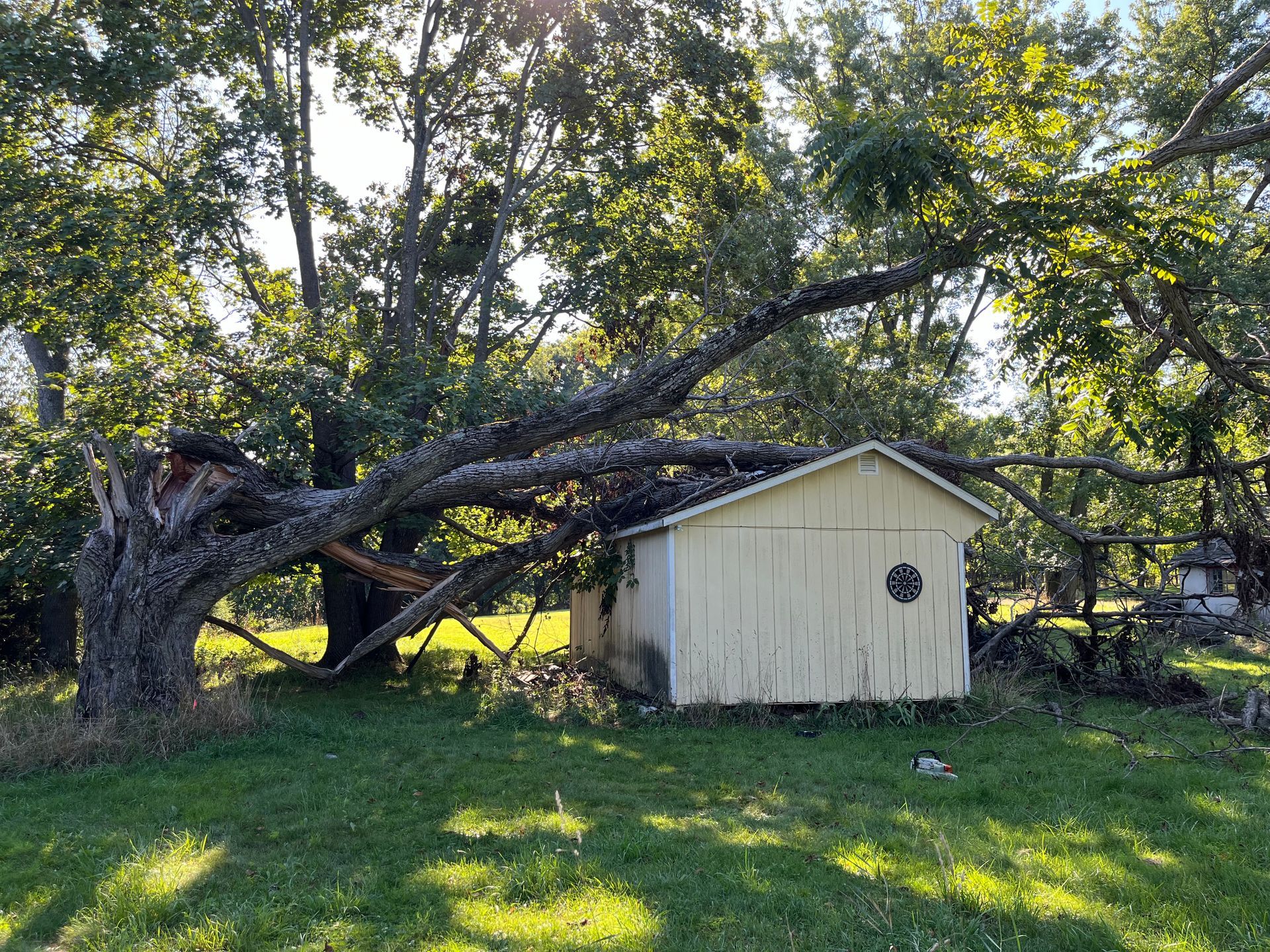 Before Landscaping Service