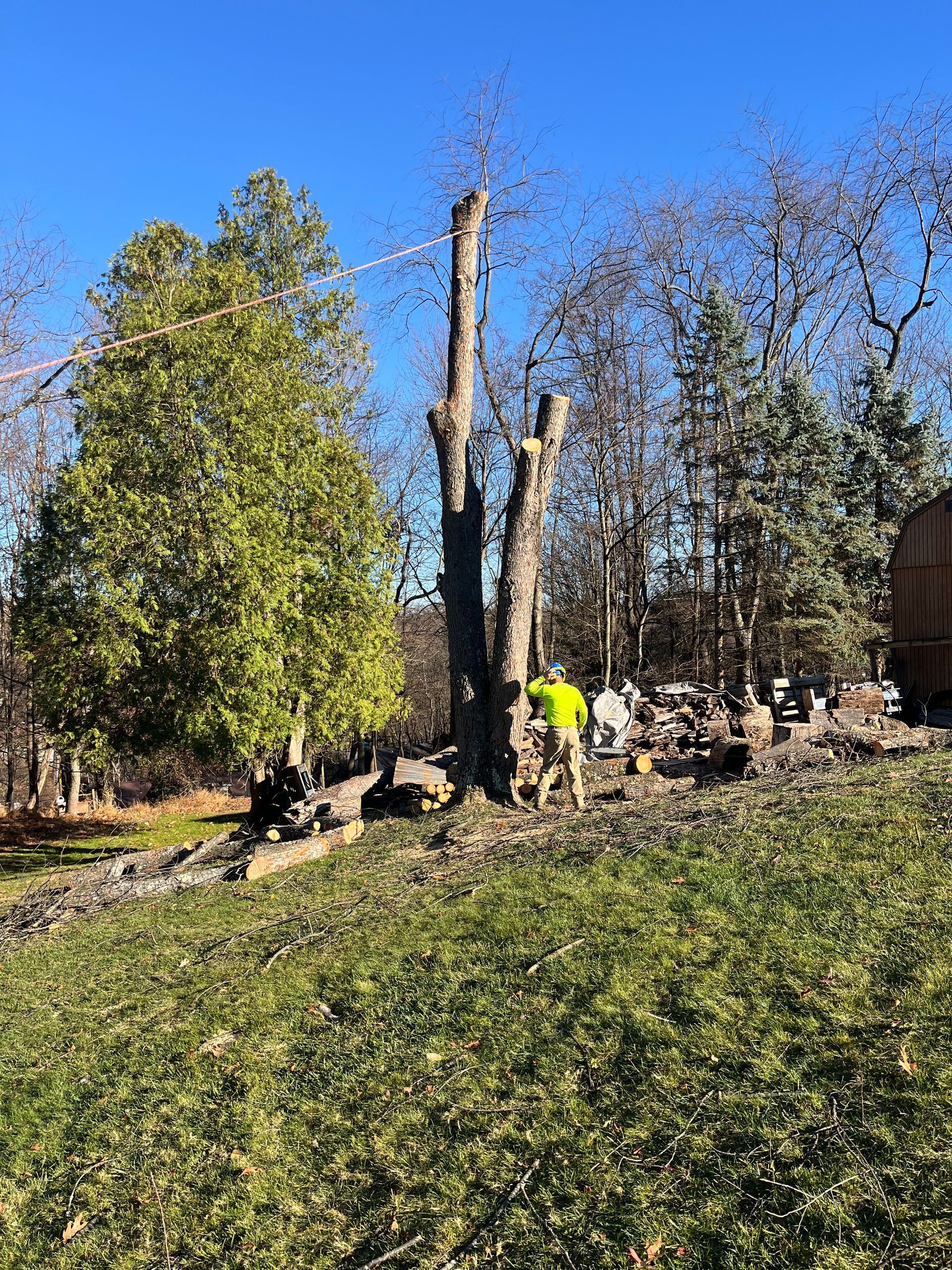 Before Landscaping Service