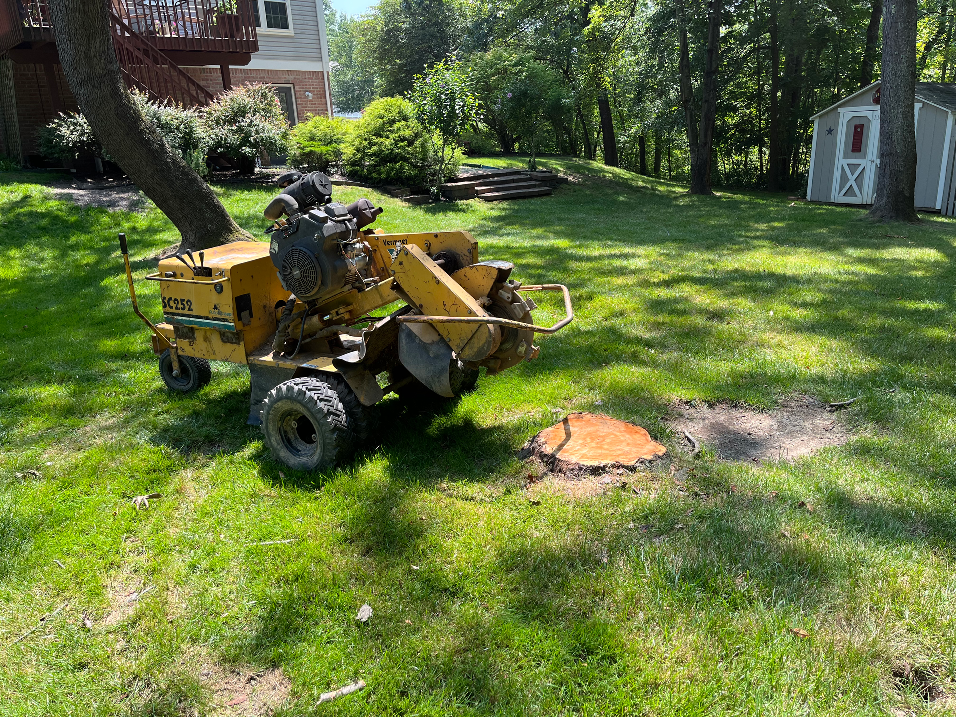 a stump grinder is sitting in the grass next to a tree stump .