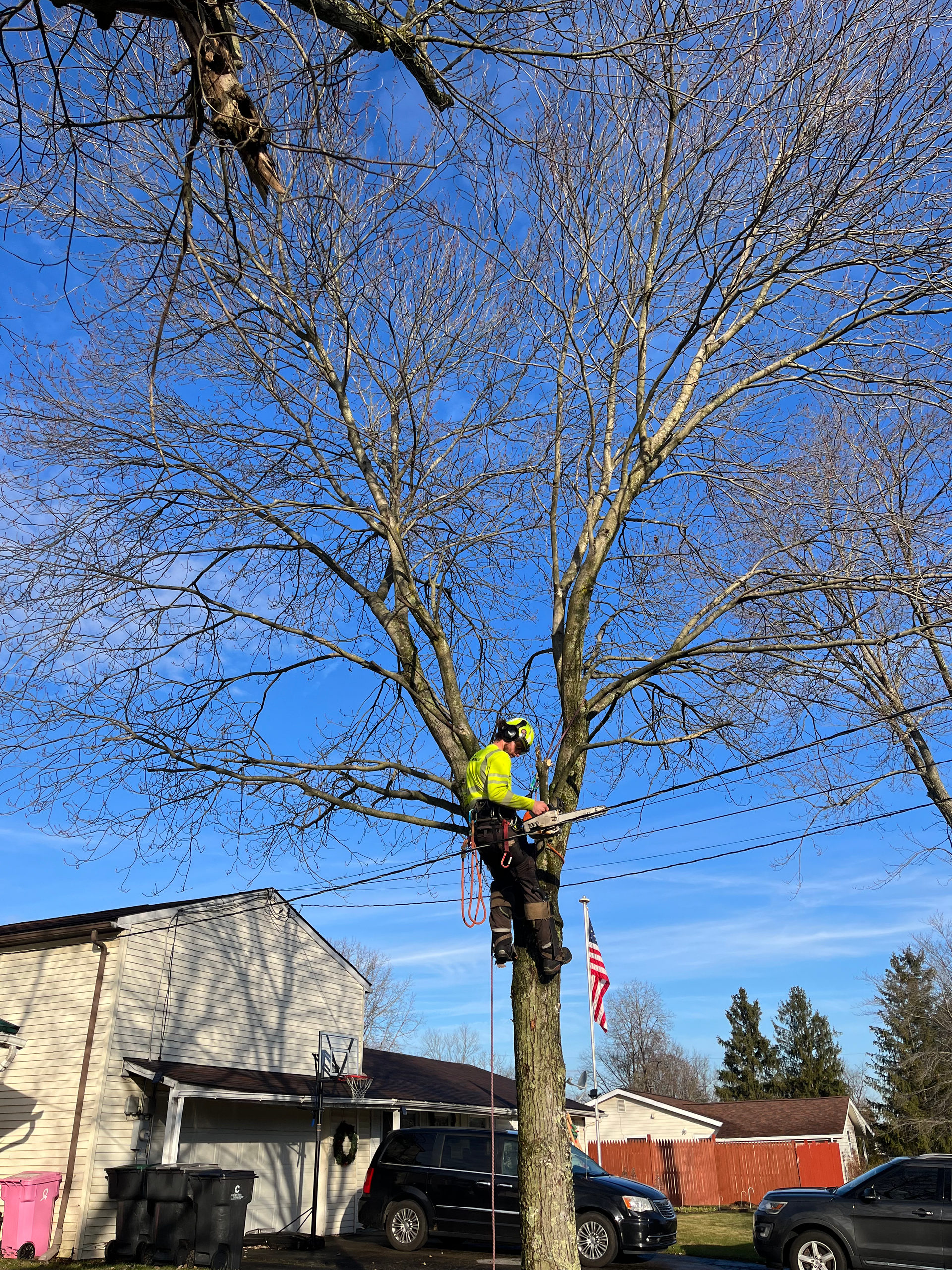 a man is climbing a tree in front of a house .