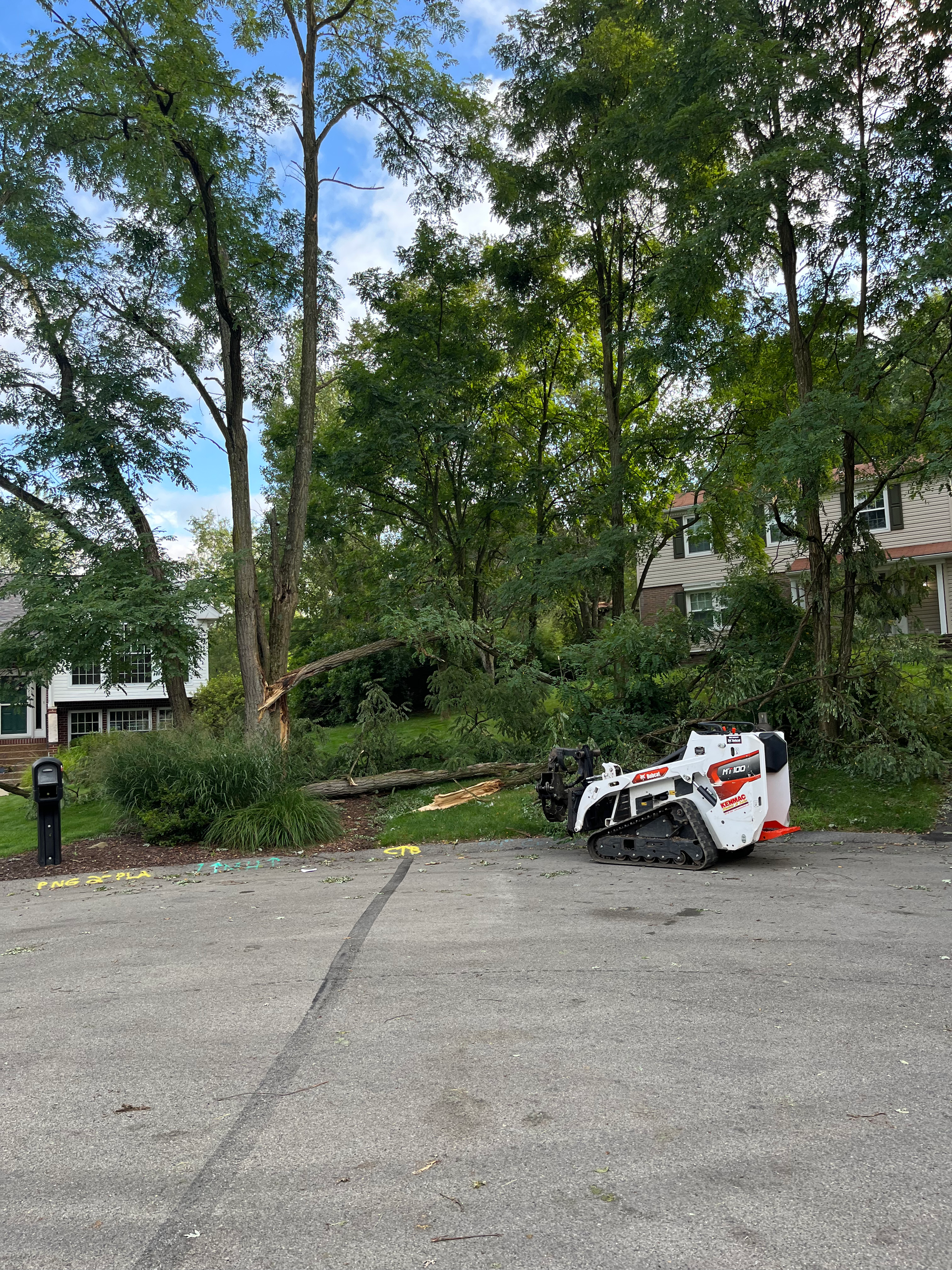 a bobcat is parked in a parking lot next to a tree .
