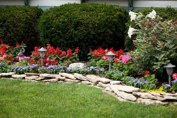 Maximizing Tree Health: Soil and Water Considerations for Vibrant Landscaping