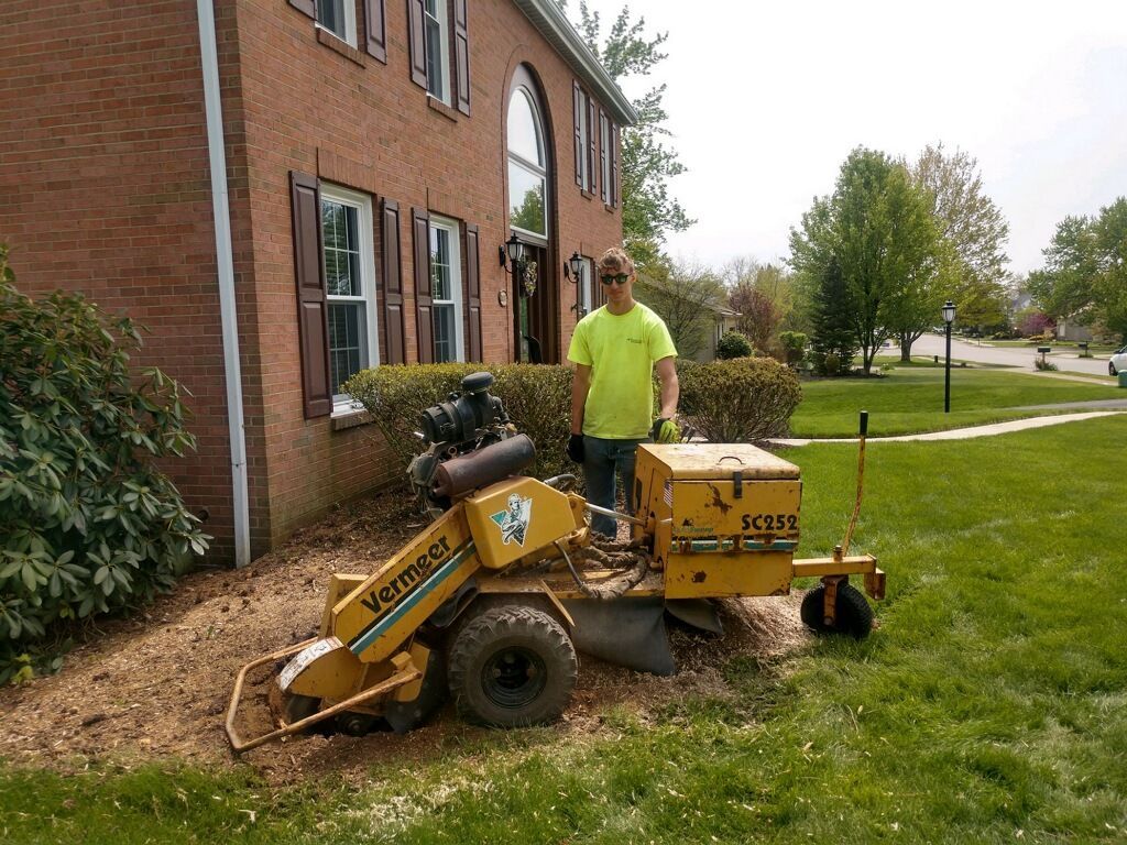 a man is standing next to a yellow stump grinder in front of a house .